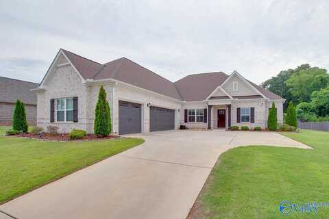 Summerglen, MADISON, AL 35756