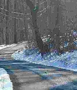 Wild Hare, HARPERS FERRY, WV 25425