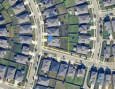 Gaillardia, FORNEY, TX 75126