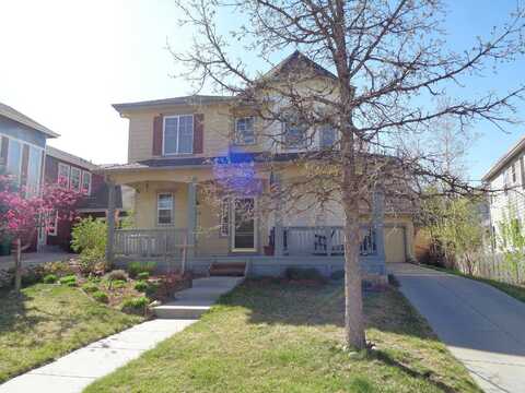 Timber Hollow, CASTLE ROCK, CO 80109