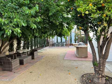 Lexington, GLENDALE, CA 91203