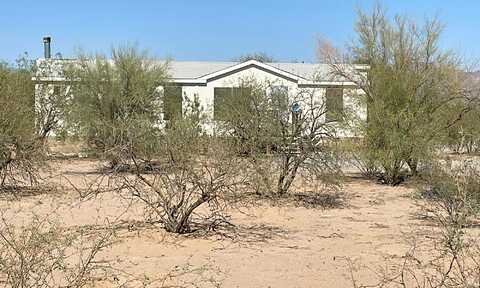 Parrot, MARANA, AZ 85653