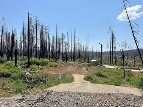String Canyon, GRIZZLY FLATS, CA 95636
