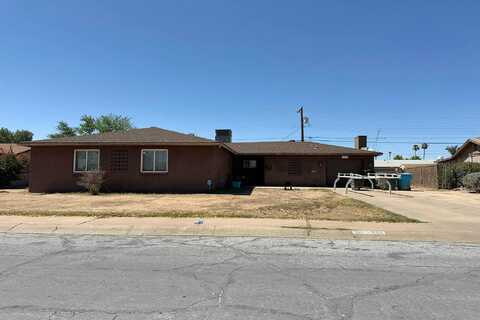 Wolf, PHOENIX, AZ 85031