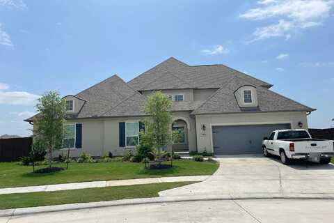 Dancing Oaks, MANVEL, TX 77578
