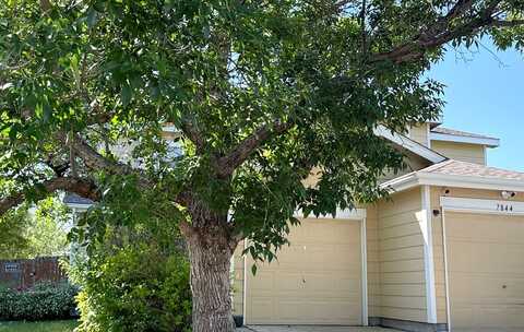 Downing, DENVER, CO 80229