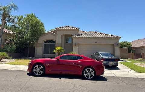 Locust, CHANDLER, AZ 85248