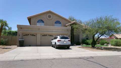 Palm Tree, SCOTTSDALE, AZ 85255