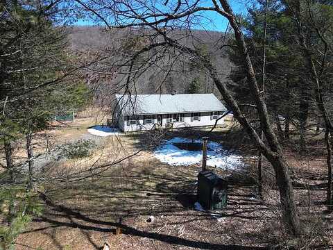 Equinunk Creek, LAKEWOOD, PA 18439