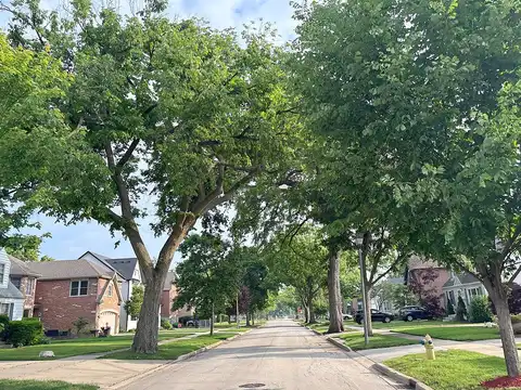 Swain, ELMHURST, IL 60126