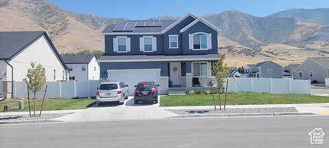 Tiffany, LAKE POINT, UT 84074
