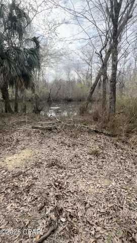 Elm, WEWAHITCHKA, FL 32465