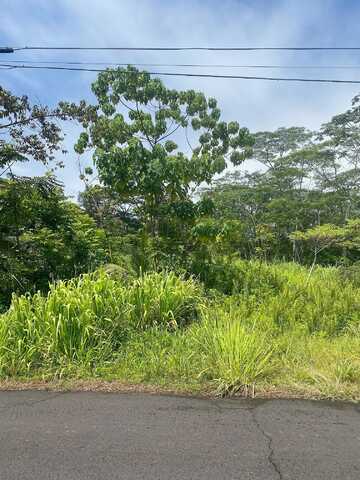 Avenue, Keaau, HI 96749