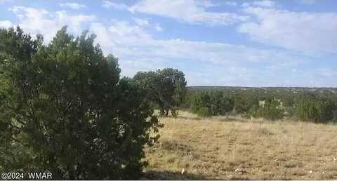 Byrnes Rd, Heber, AZ 85928