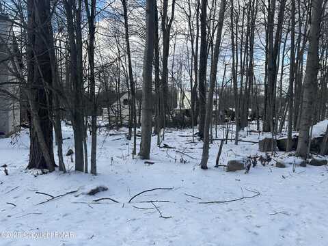 Shadow, TOBYHANNA, PA 18466
