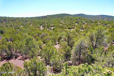 County Road 3199, VERNON, AZ 85940