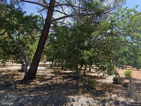 Oliva, HAYFORK, CA 96041