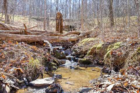 Roaring Creek Road, Dunlap, TN 37327