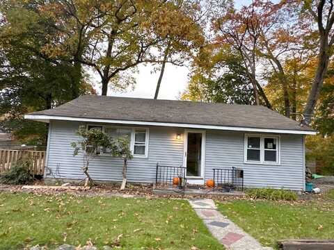 Tulip, SAYLORSBURG, PA 18353