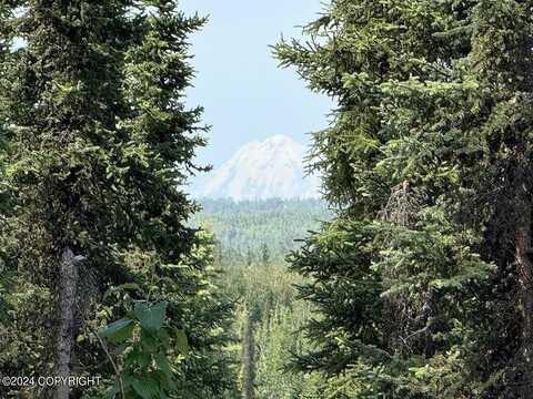 River View Terrace Dr, Soldotna, AK 99669