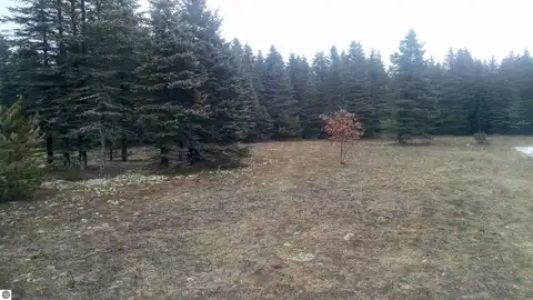 Pheasant, FIFE LAKE, MI 49633