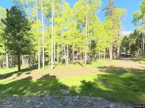 Via De Maria, Angel Fire, NM 87710