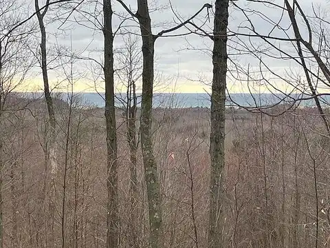 Silver Vista #Lot 2, Mears, MI 49436