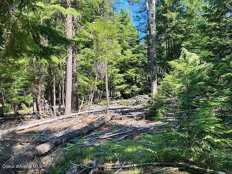 Nna Toad Road ( 5Acres), Priest River, ID 83856