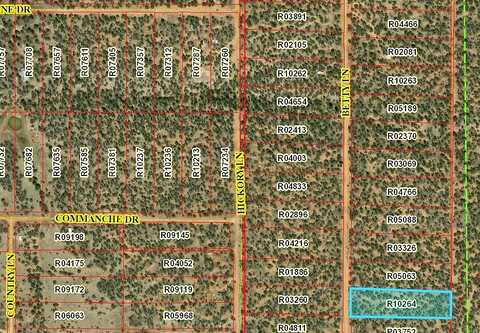Lot 618 Betty Lane, Ramah, NM 87321