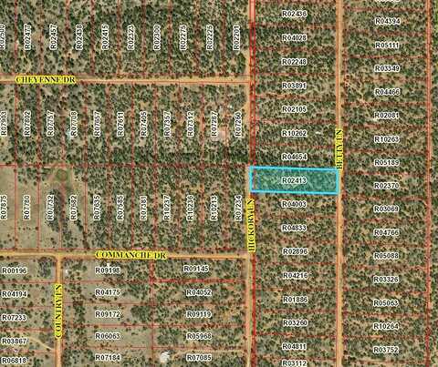 Lot 591 Betty Lane, Ramah, NM 87321