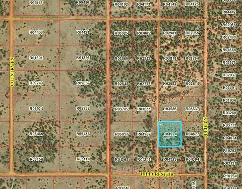 Lot 509 Betty Lane, Ramah, NM 87321