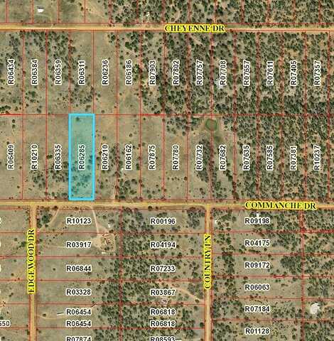 Lot 381 Commanche Drive, Ramah, NM 87321