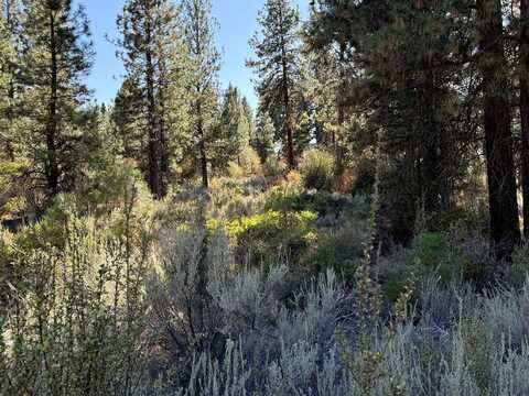 Legget Drive, Chiloquin, OR 97624