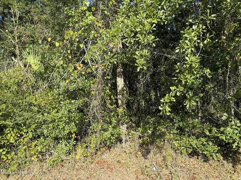 Garfield St, Bay Saint Louis, MS 39520