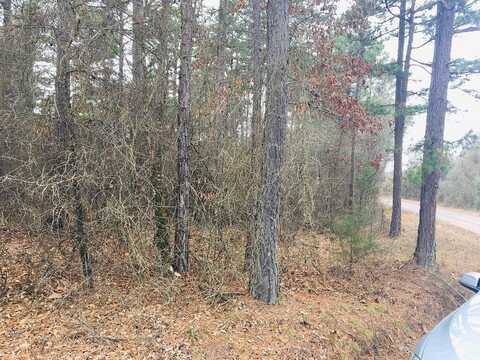 Eagles Nest, Cr 1788, London, AR 72847