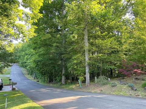 Licklog Ridge, Hayesville, NC 28904