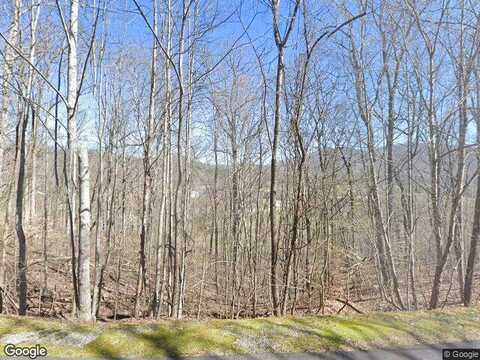 Licklog Ridge, Hayesville, NC 28904