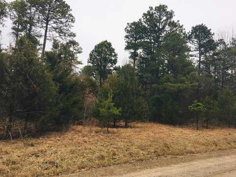 Eagles Nest, Cr 1792, London, AR 72847