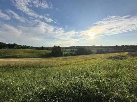 Mint Ridge Rd, Carlisle, KY 40311