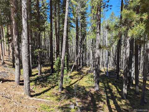 Drexler Place, Fort Garland, CO 81133
