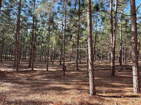 (Lot 4) Cty Rd 18, Headland, AL 36345