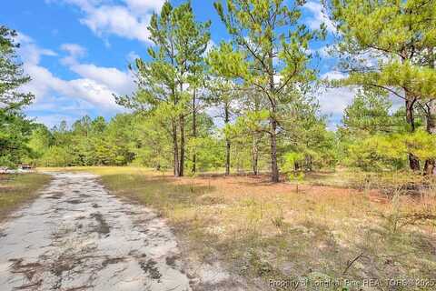 Mckoy Town Rd, Cameron, NC 28326