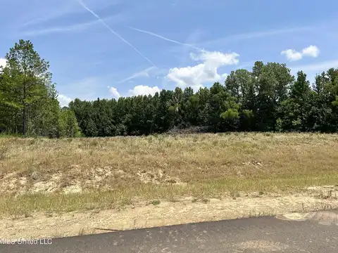 Riverwood Cv N, Lake Cormorant, MS 38641