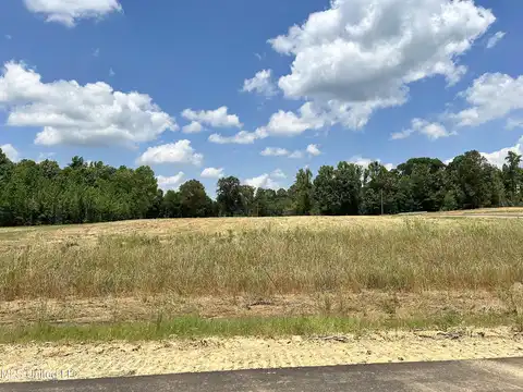 Hazelwood Dr, Lake Cormorant, MS 38641