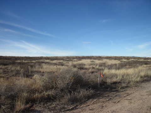 Mesa Rd, Moriarty, NM 87035