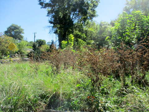 New Hampshire Ave, Bristol, VA 24201