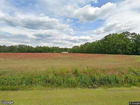 Homer Nance Rd, Evergreen, NC 28438