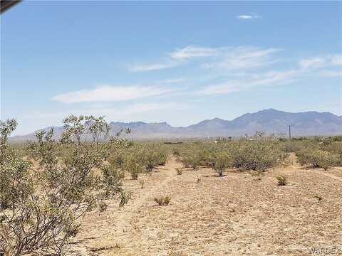 Jerry, Dolan Springs, AZ 86441