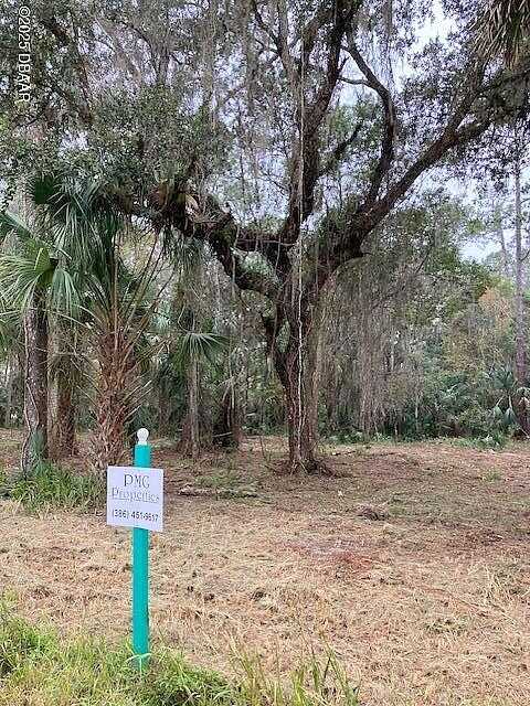 Shell Harbor Rd, Pierson, FL 32180