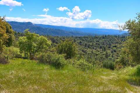 Old Yosemite Rd, Oakhurst, CA 93644
